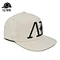 Snapbacks hat